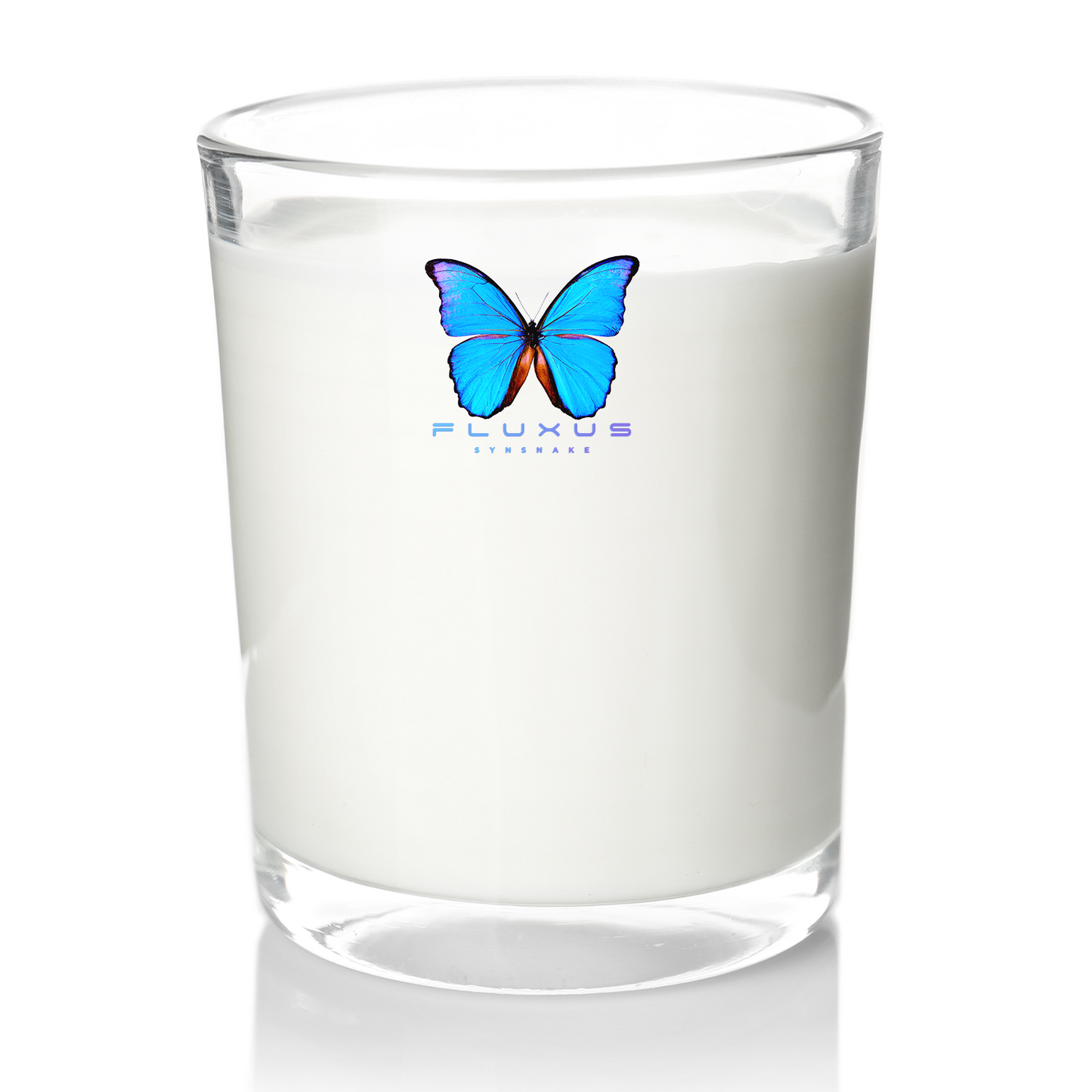 Synsnake - 'Fluxus' On The Rock Glass